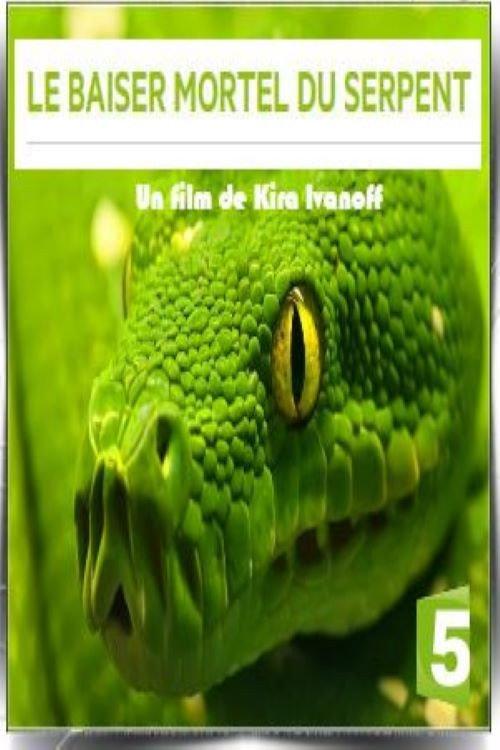 Le baiser mortel du serpent 2016 official movie poster