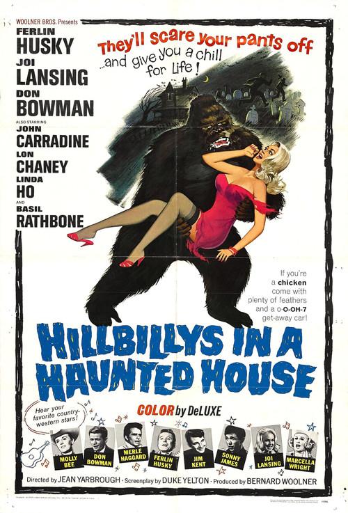 Hillbillys in a Haunted House 1967 official movie poster