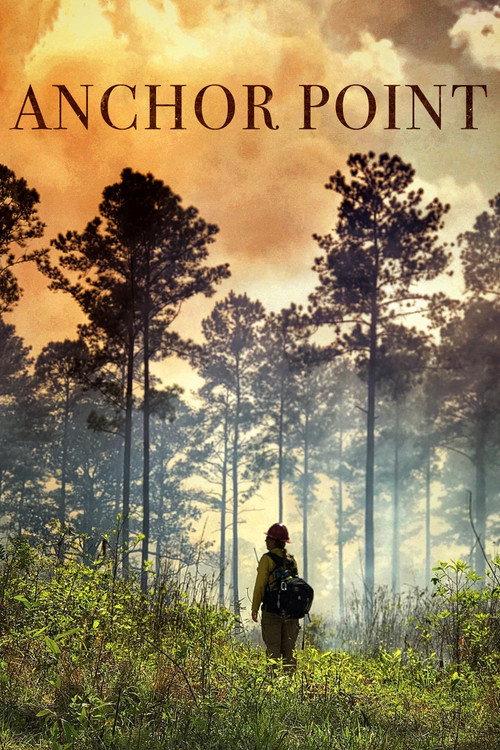 Anchor Point 2021 official movie poster