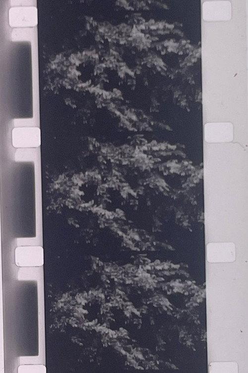 Plotting the Grey Scale: 2 or 3 Quick Traverses 1985 official movie poster