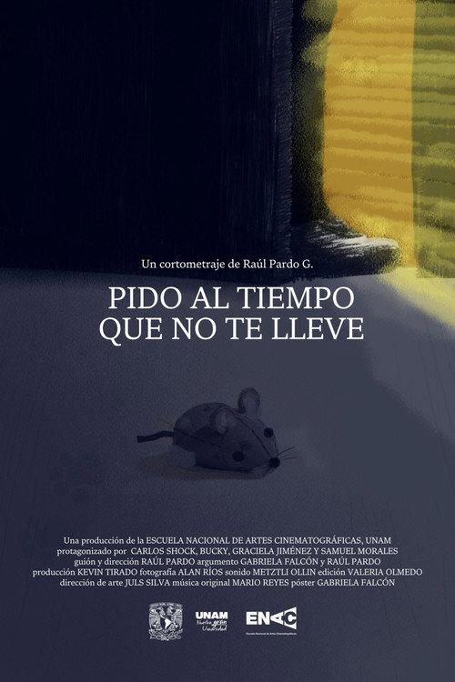 I Plead Time Does Not Take You Away 2025 official movie poster