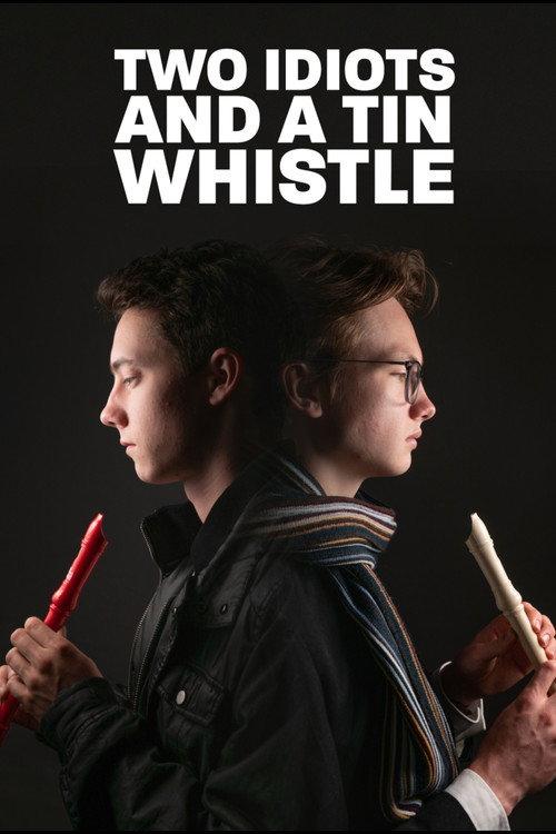 Two Idiots and a Tin Whistle 2021 official movie poster