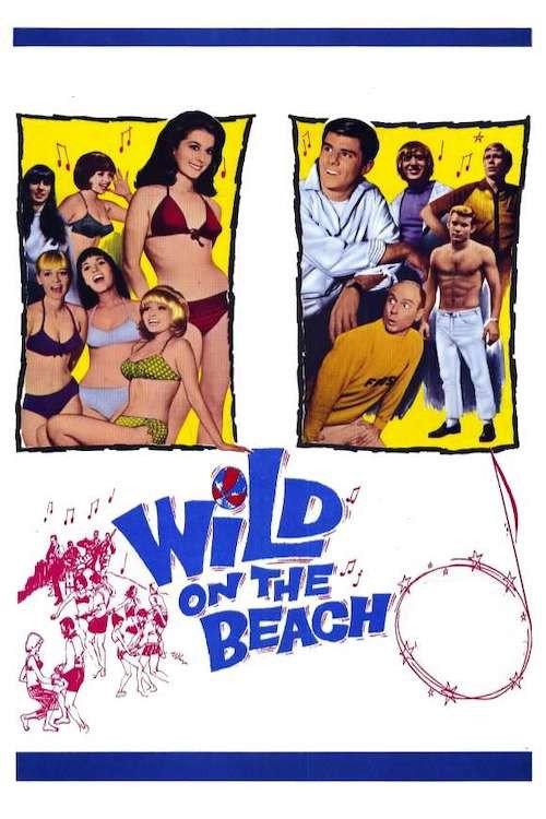 Wild on the Beach 1965 official movie poster