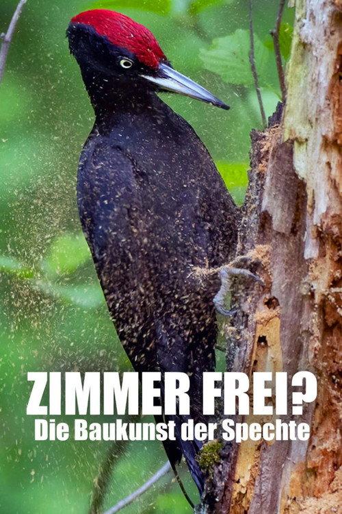 Knock knock – a Woodpeckers world 2022 official movie poster