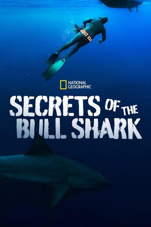 Secrets of the Bull Shark 2020 official movie poster