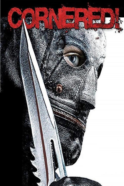Cornered! 2009 official movie poster
