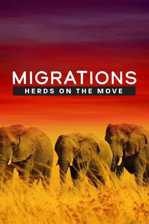 Migrations: Herds on the Move 2020 official movie poster
