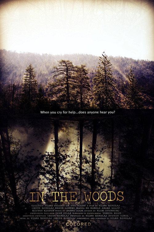 In the Woods 2010 official movie poster