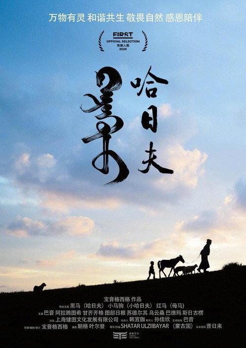 Harhuu 2020 official movie poster