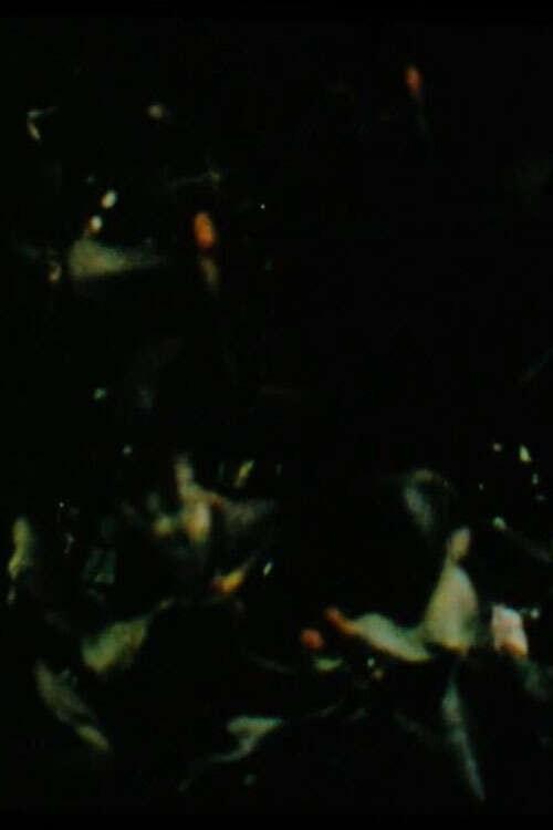 Into the Mass 2007 official movie poster