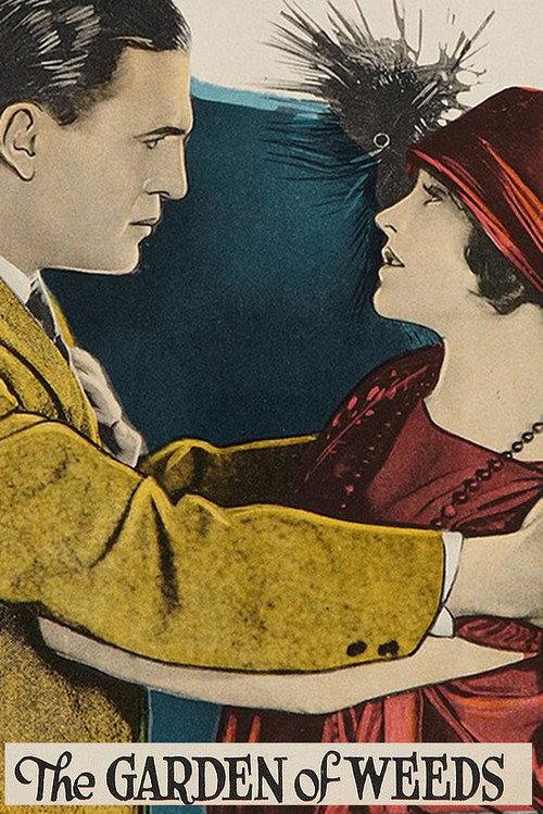 The Garden of Weeds 1924 official movie poster