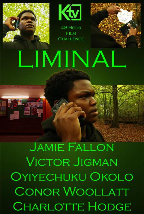 Liminal 2024 official movie poster