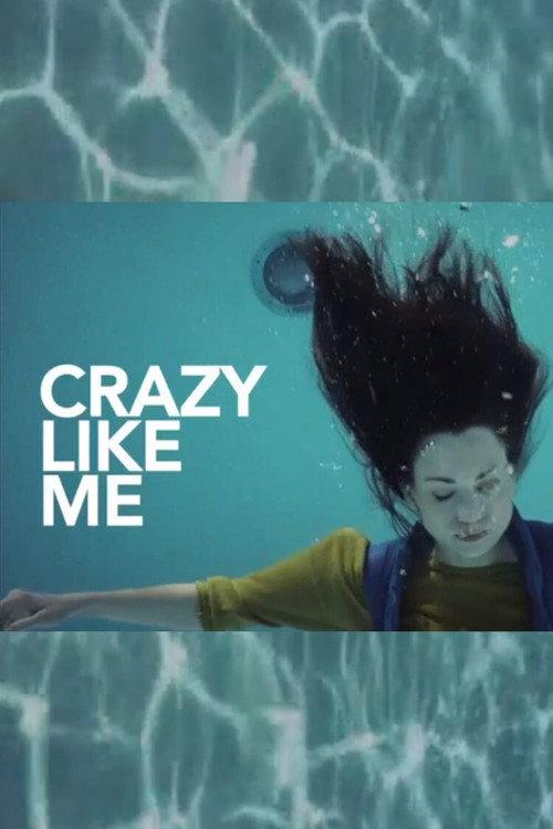 Crazy Like Me 2013 official movie poster