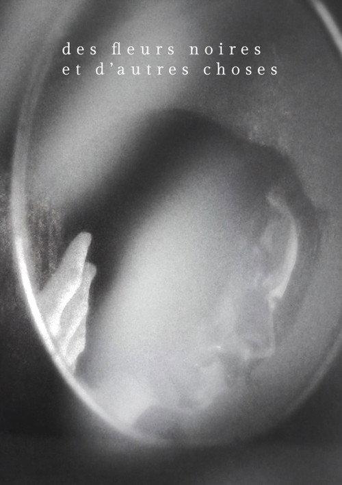 Des fleurs noires et d'autres choses  official movie poster