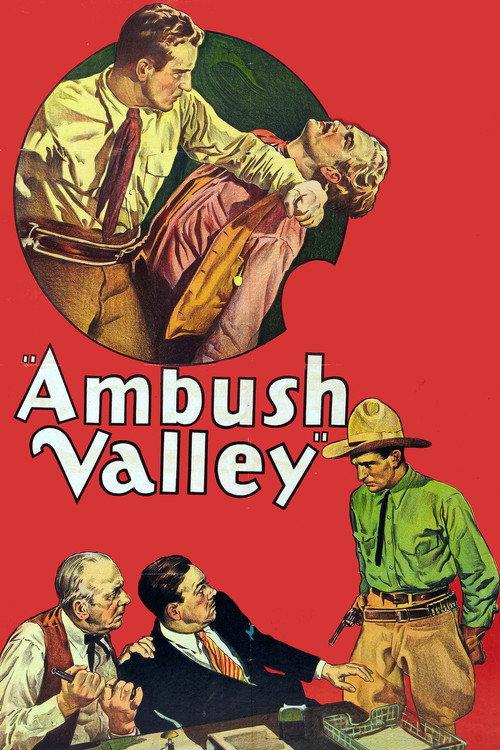Ambush Valley 1936 official movie poster