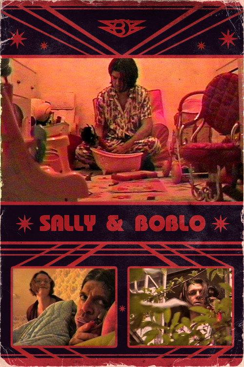 Sally & Boblo 2013 official movie poster