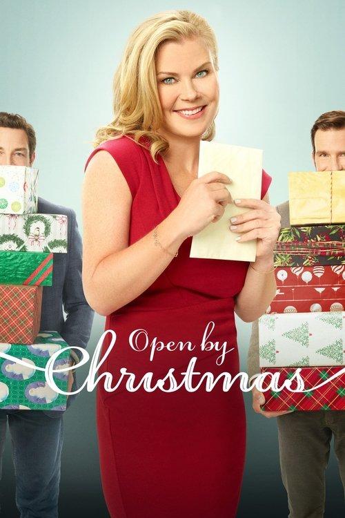 Open by Christmas 2021 official movie poster