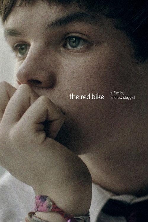 The Red Bike 2011 official movie poster