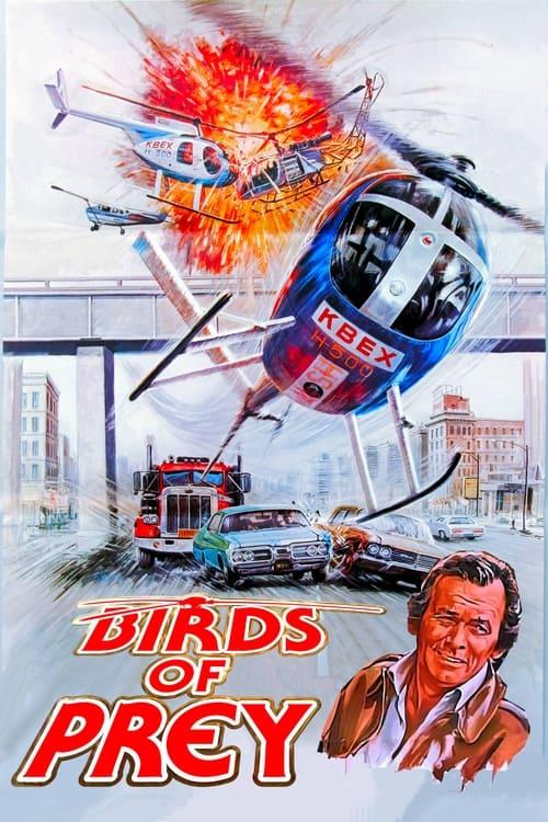 Birds of Prey 1973 official movie poster