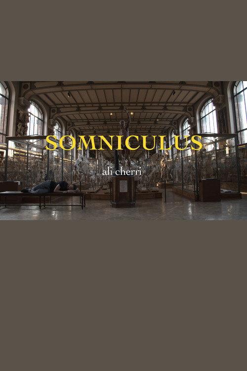 Somniculus 2017 official movie poster