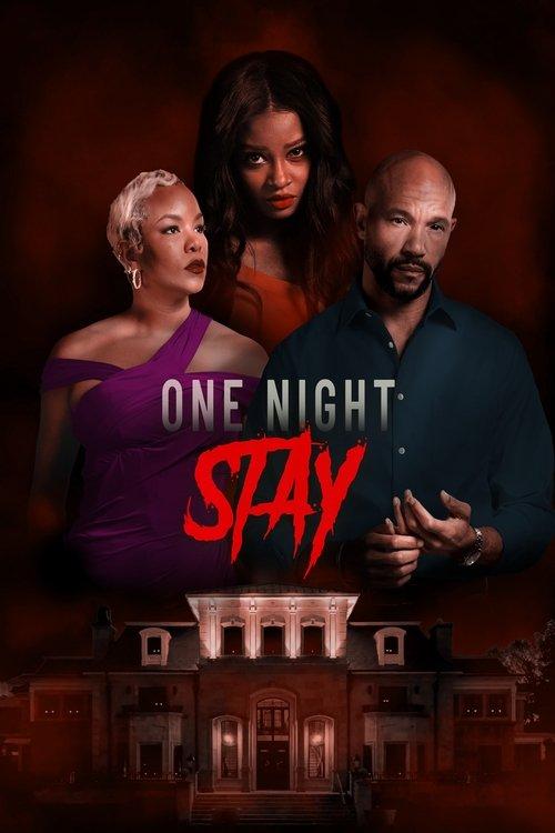 One Night Stay 2024 official movie poster