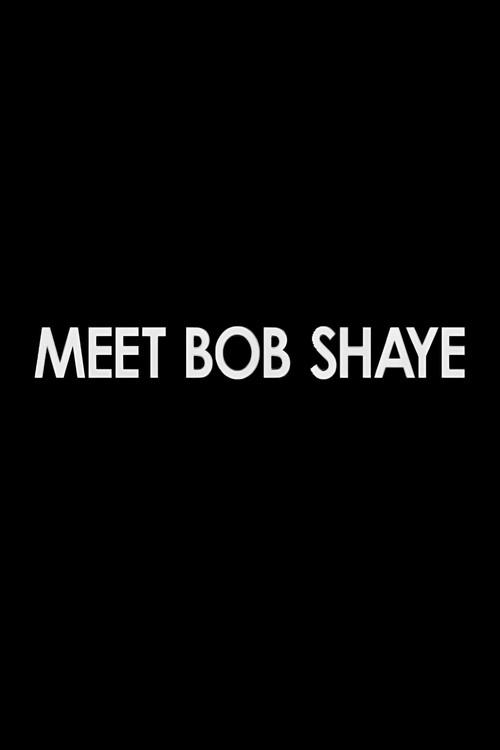 Meet Bob Shaye 2004 official movie poster
