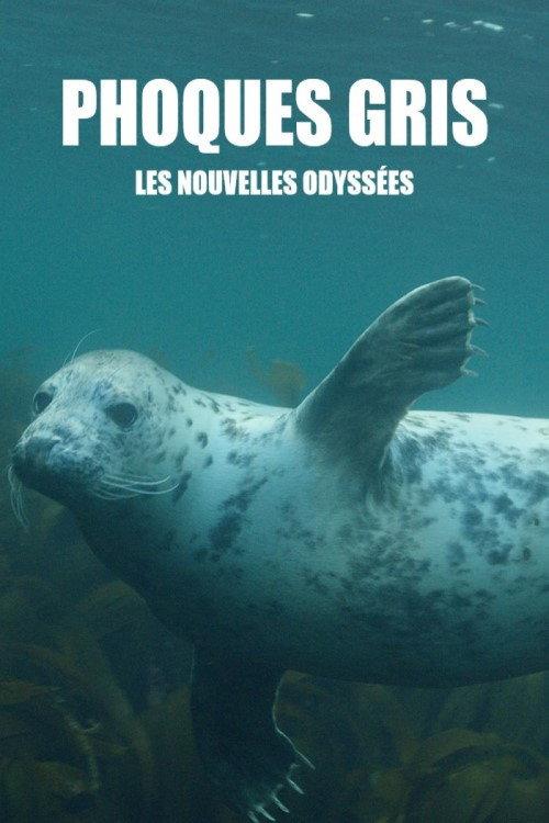 Grey Seals: A Journey of Survival 2016 official movie poster
