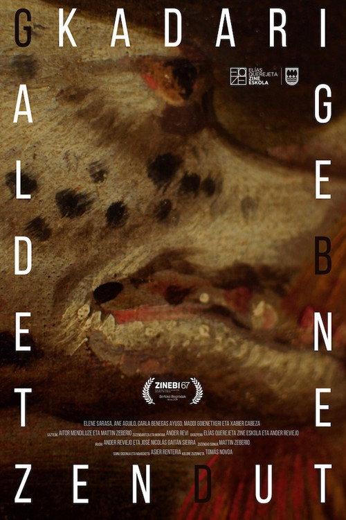 Galdetzen duten begiradak 2025 official movie poster