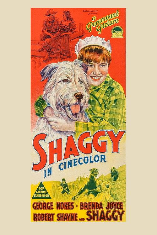 Shaggy 1948 official movie poster
