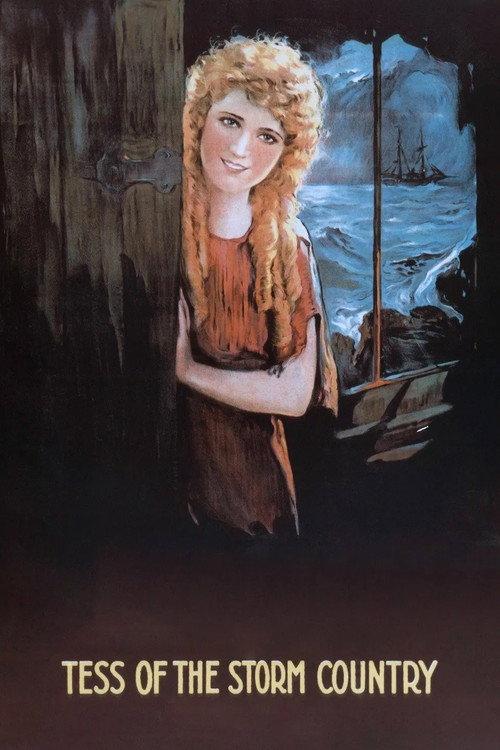 Tess of the Storm Country 1914 official movie poster