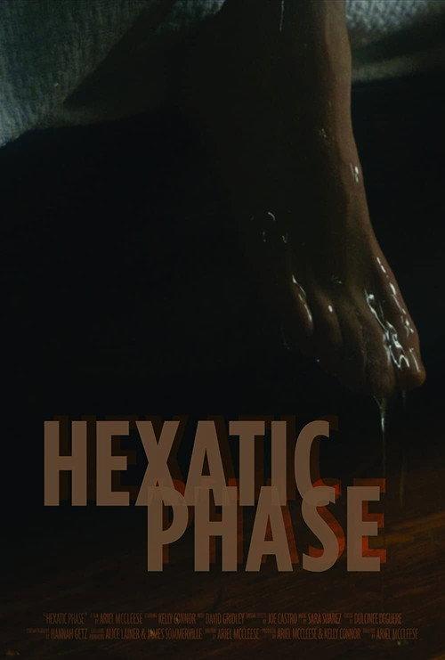 Hexatic Phase 2020 official movie poster