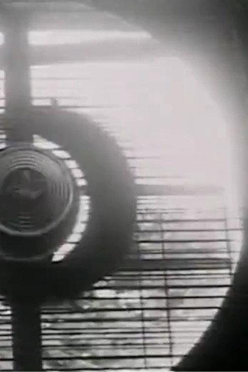 Numen Lumen 1974 official movie poster