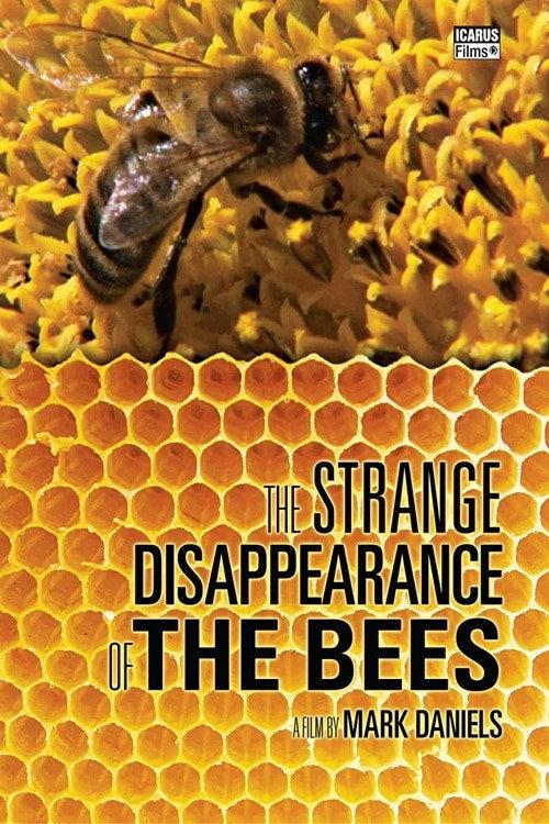The Strange Disappearance of the Bees 2010 official movie poster