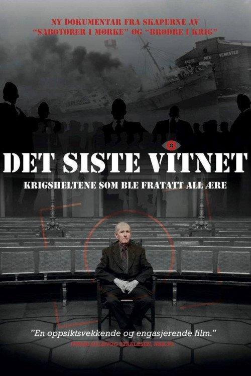 Det siste vitnet 2013 official movie poster