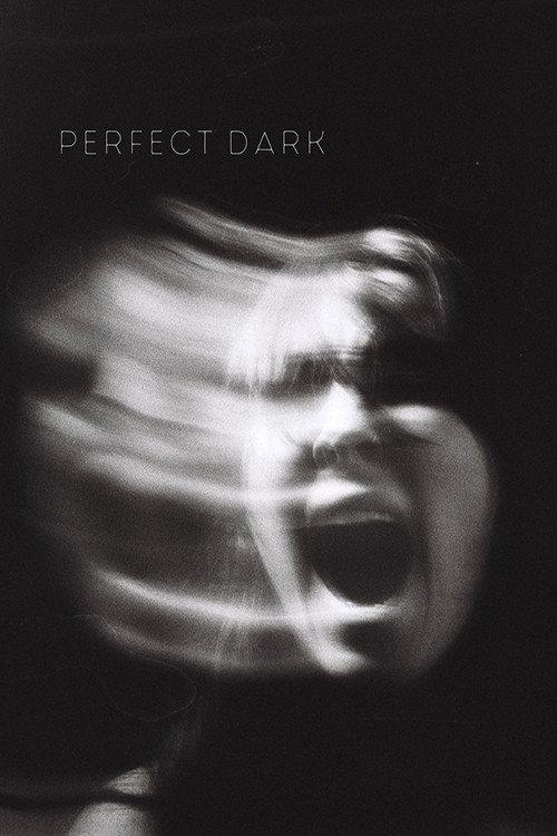 Perfect Dark 2023 official movie poster