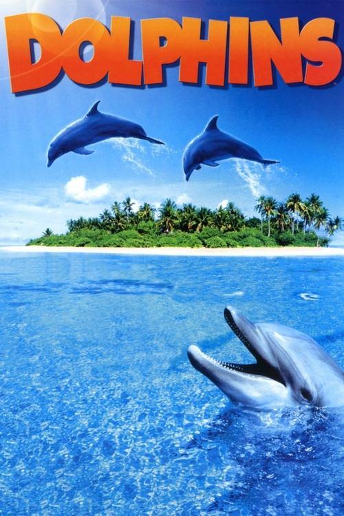 Dolphins 2000 official movie poster
