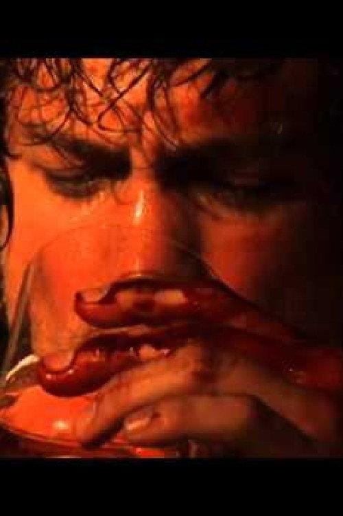 Vale Tudo Project 2009 official movie poster