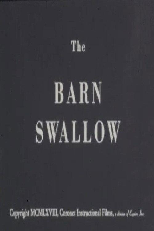 The Barn Swallow 1968 official movie poster