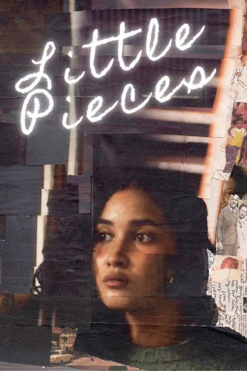 Little Pieces 2026 official movie poster