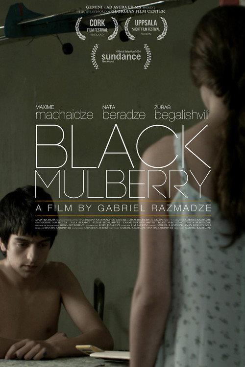 Black Mulberry 2012 official movie poster