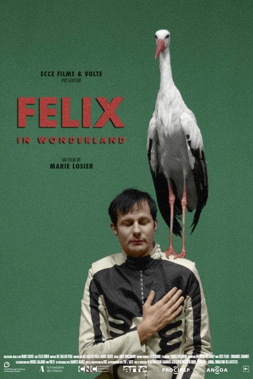 Felix in Wonderland 2019 official movie poster