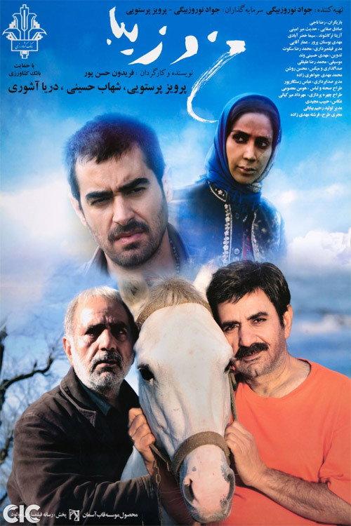 Ziba and I 2013 official movie poster