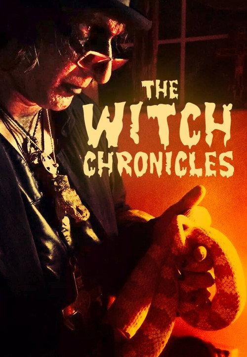 The Witch Chronicles 2015 official movie poster