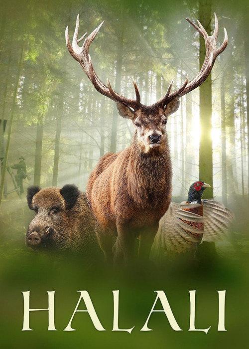 Halali 2018 official movie poster