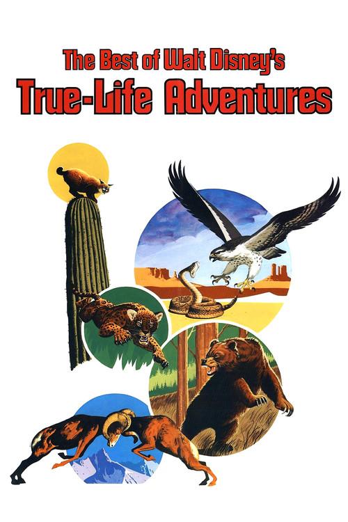 The Best of Walt Disney's True-Life Adventures 1975 official movie poster