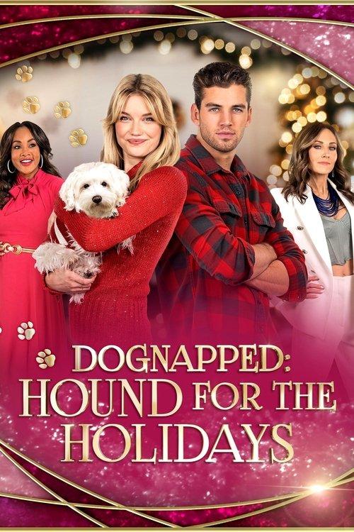 Dognapped: Hound for the Holidays 2022 official movie poster