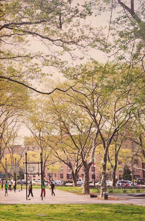 The Park 2017 official movie poster