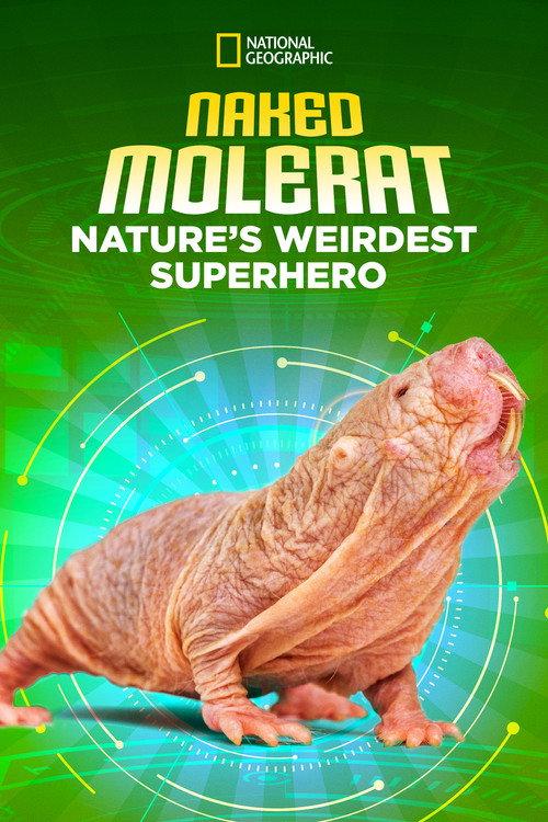 Naked Molerat: Nature’s Weirdest Superhero 2018 official movie poster