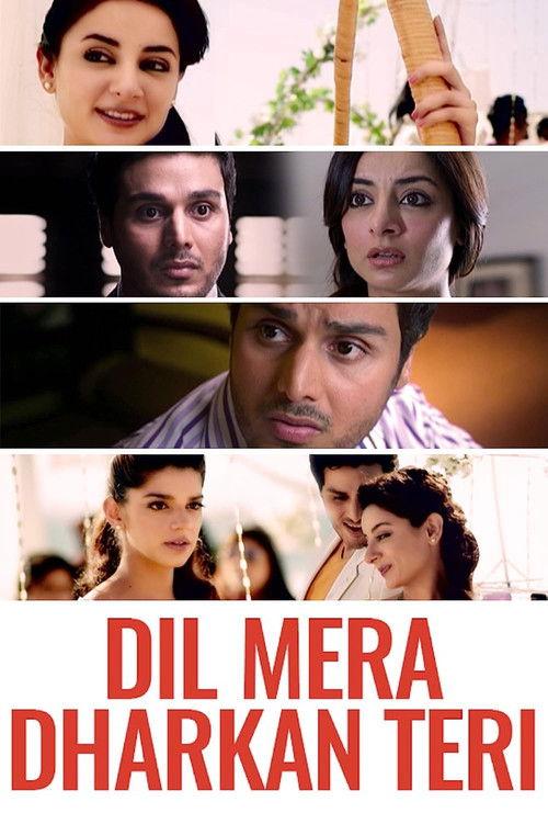 Dil Mera Dhadkan Teri 2013 official movie poster