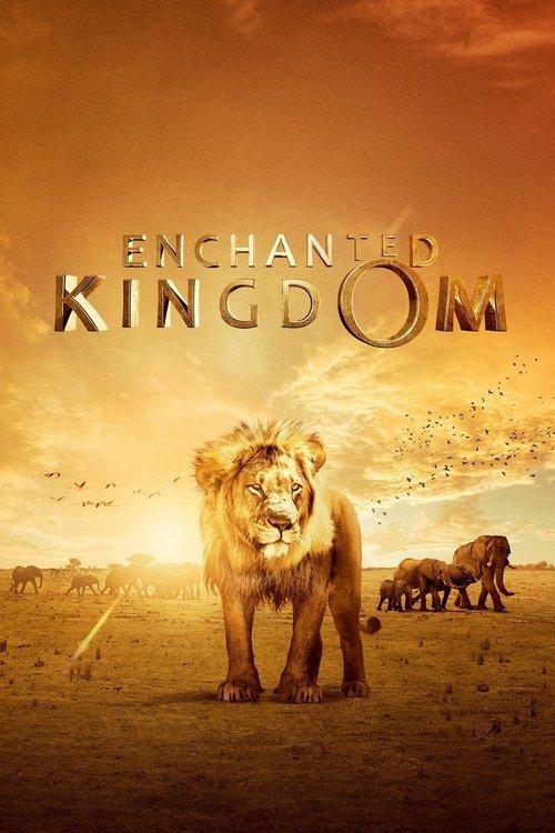 Enchanted Kingdom 2014 official movie poster